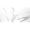 Msi Eden Statuary 12 In. X 24 In. Polished Porcelain Floor And Wall Tile, 8PK ZOR-PT-0304 - alternate 4